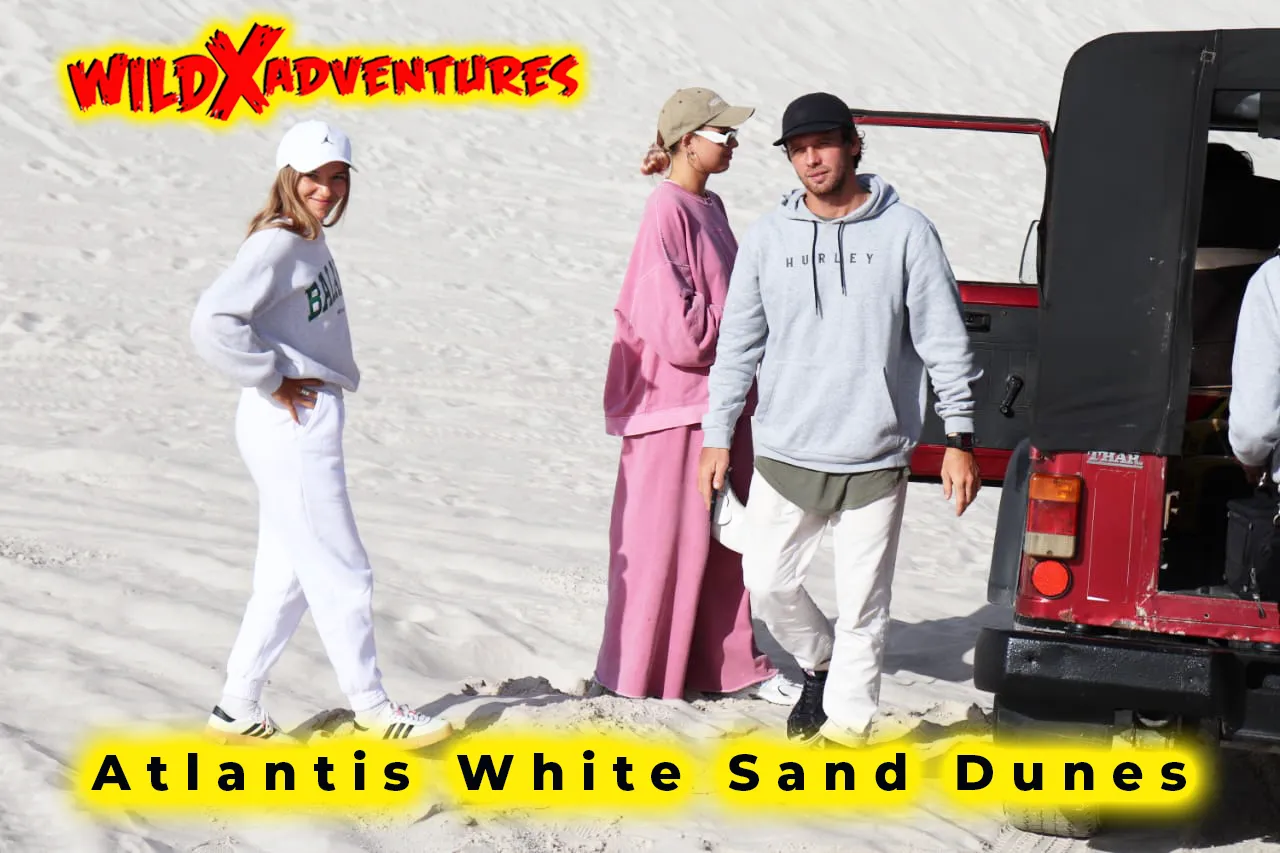Activity Combo: Jeep 4x4 Tour and Classic Sandboarding with WildX Adventures