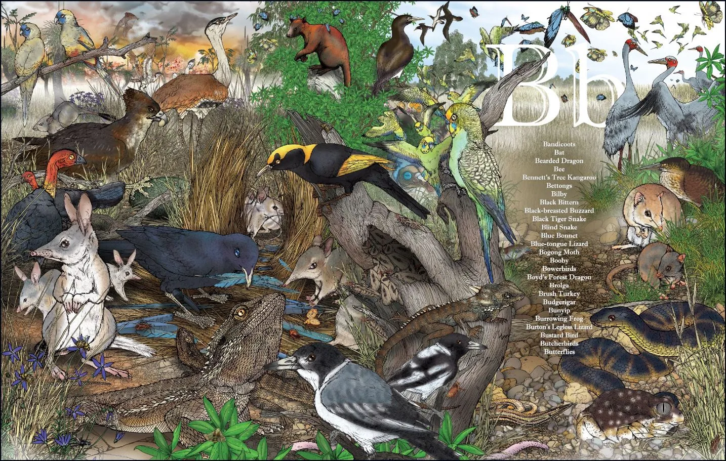 An A-Z of Australian Bush Creatures