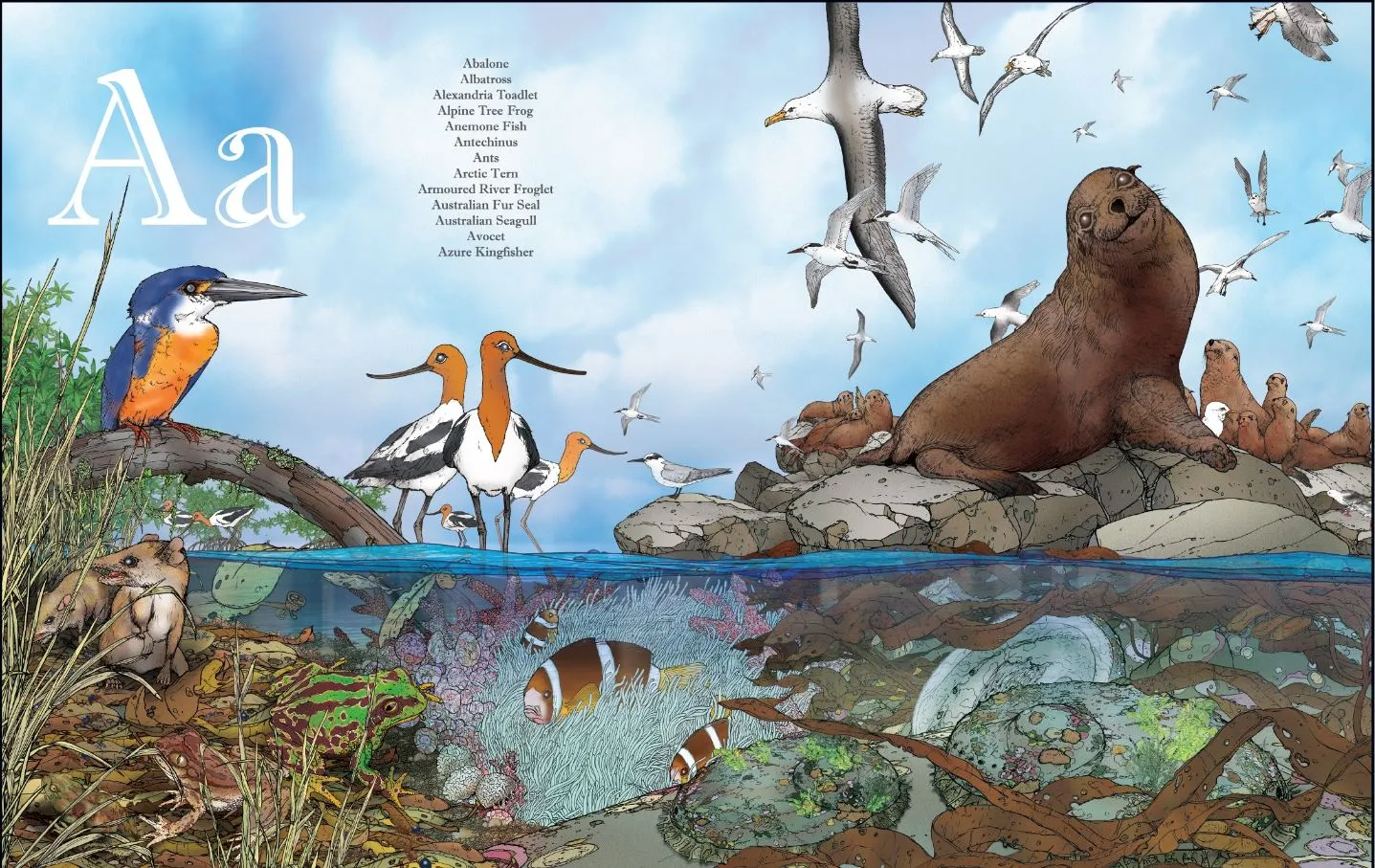 An A-Z of Australian Bush Creatures