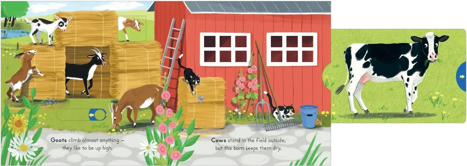 Big Outdoors for Little Explorers: Farm