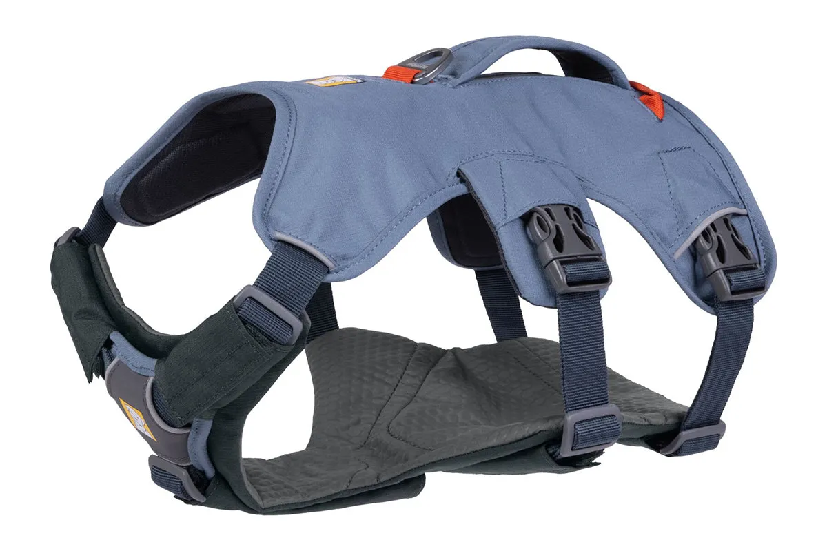 Brush Guard Basalt Gray