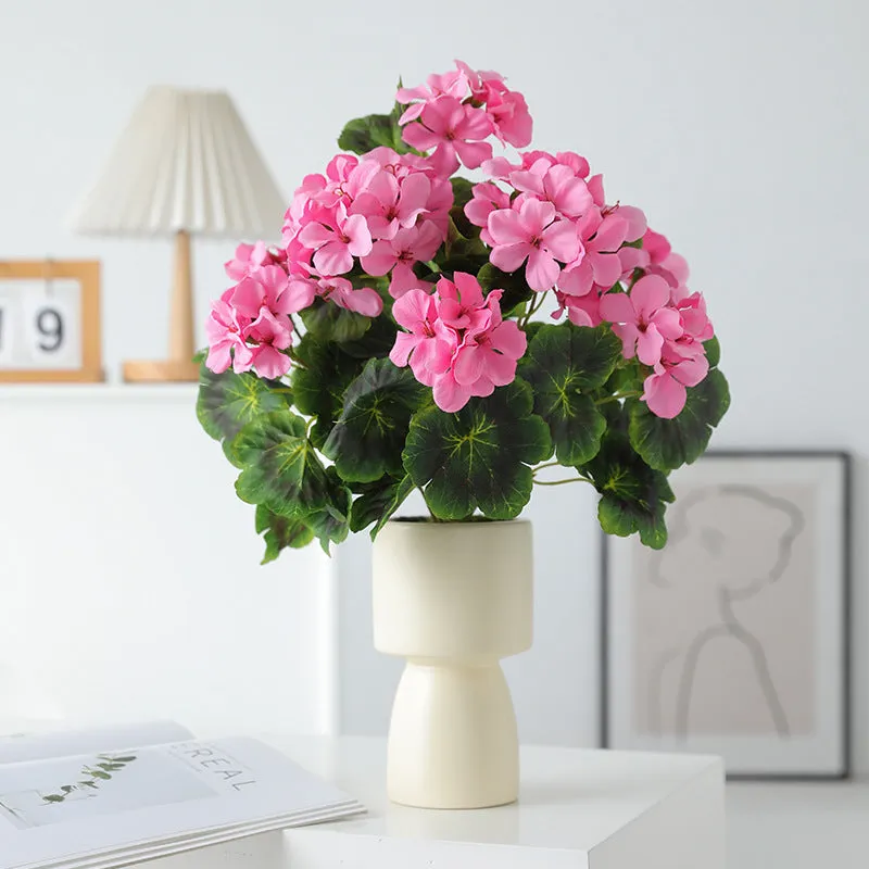 Bulk 16.5 inches Tall Geranium Bush Shrubs UV Resistant Flowers for Outdoors and Indoors Wholesale