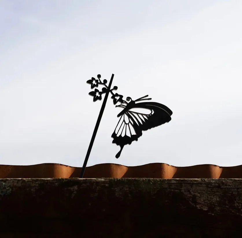 Butterfly Ulysses