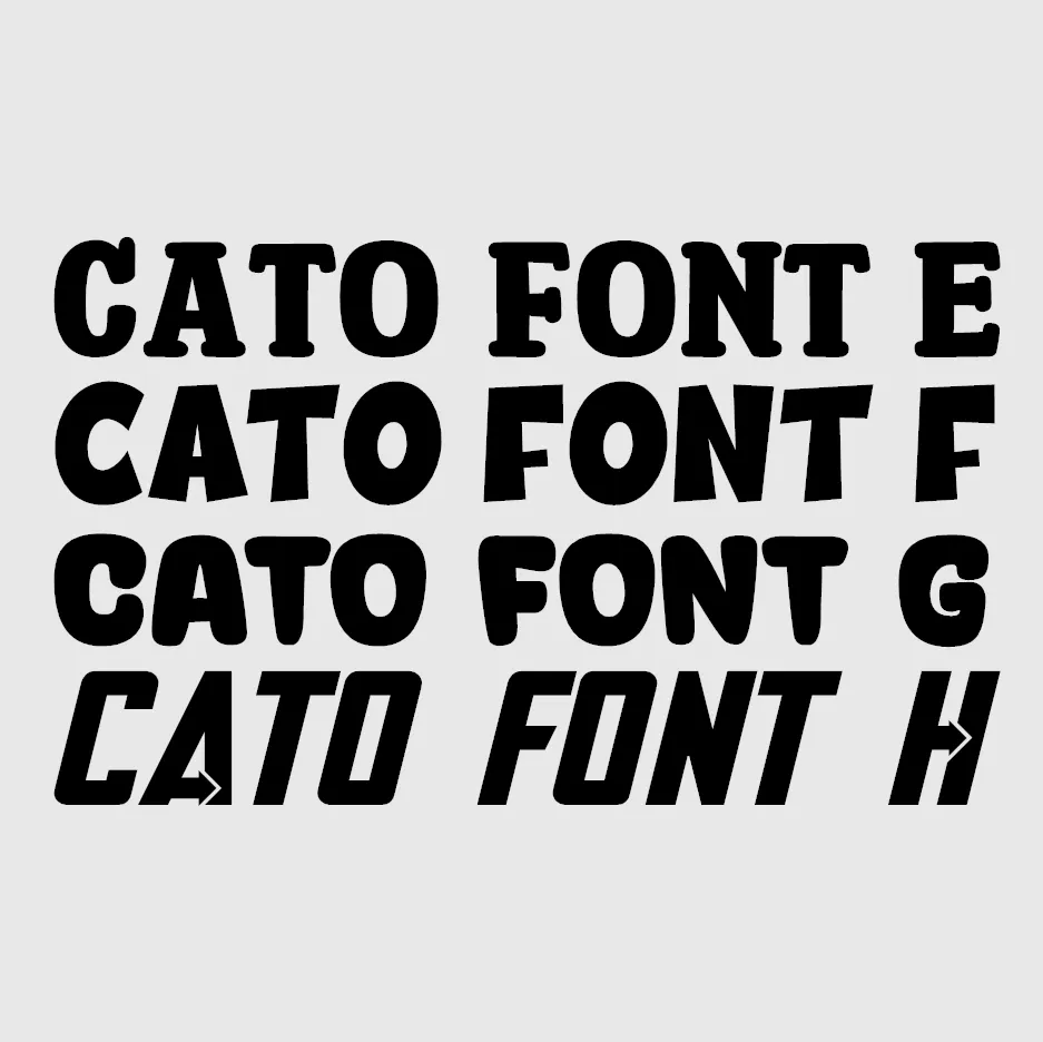 Cato Customisation