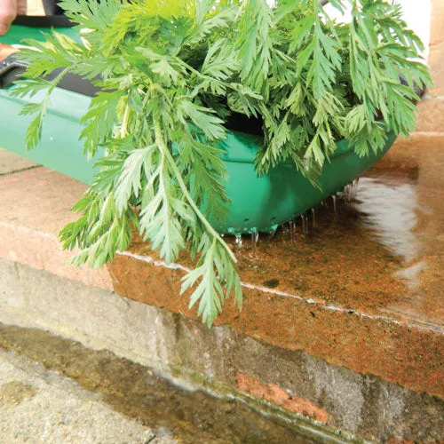 Colander Trug