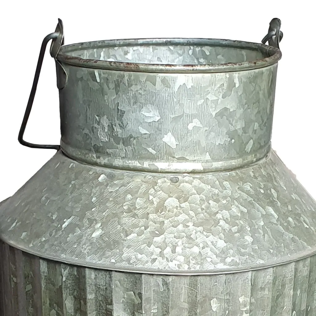 Decorative Flowers and Plants Metal Can with Handle, Gray By Casagear Home