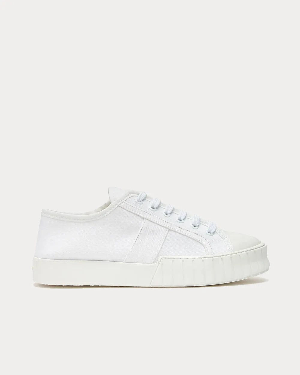 Divid White / White Low Top Sneakers