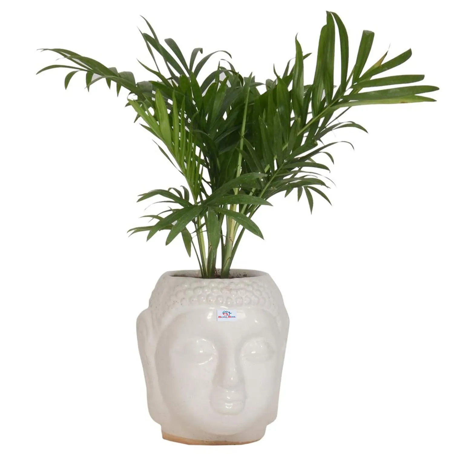 Heart Home Buddha Flower Pot|Buddha Head Shape Flower Planter|Plastic Flower Plant for Home Décor|Office Décor|Pack of 2 (White)