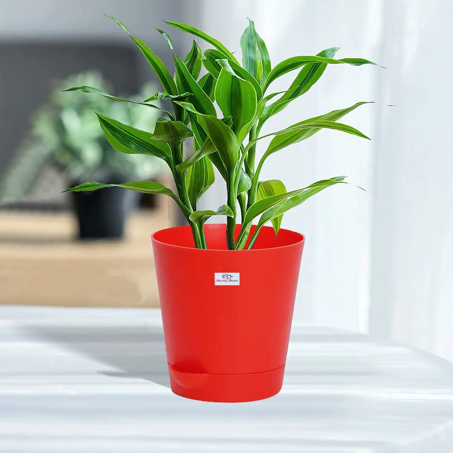 Heart Home Plastic Titan Pot|Garden Container for Plants & Flowers|Self-Watering Pot with Drainage Holes,6 Inch,Pack of 5 (Multicolor)
