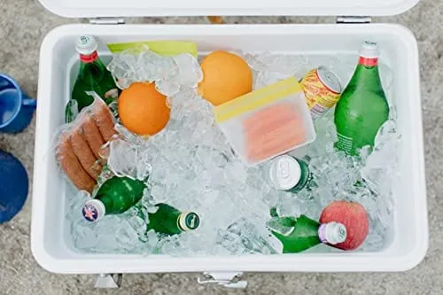 Igloo 54 QT Legacy Stainless Steel Cooler with Bottle Opener