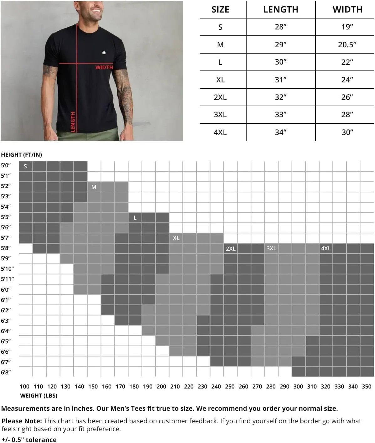 INTO the AM Mens T Shirt Packs - Short Sleeve Crew Neck Soft Fitted Tees S - 4XL Fresh Classic Tshirts