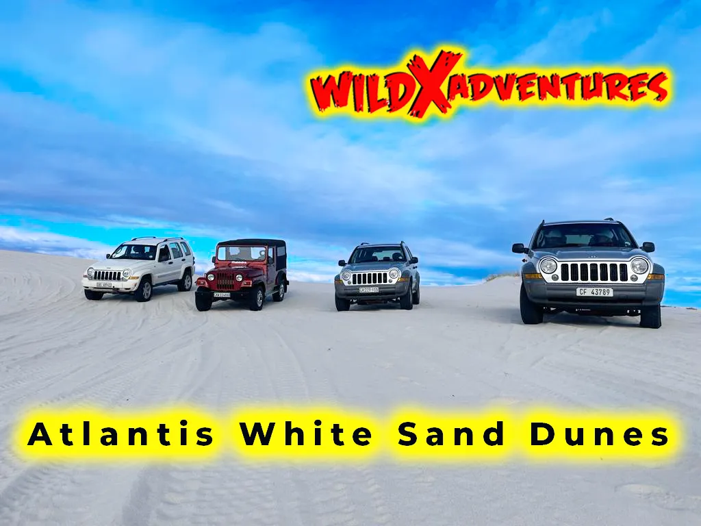Jeep 4x4 Experience at WildX Adventures