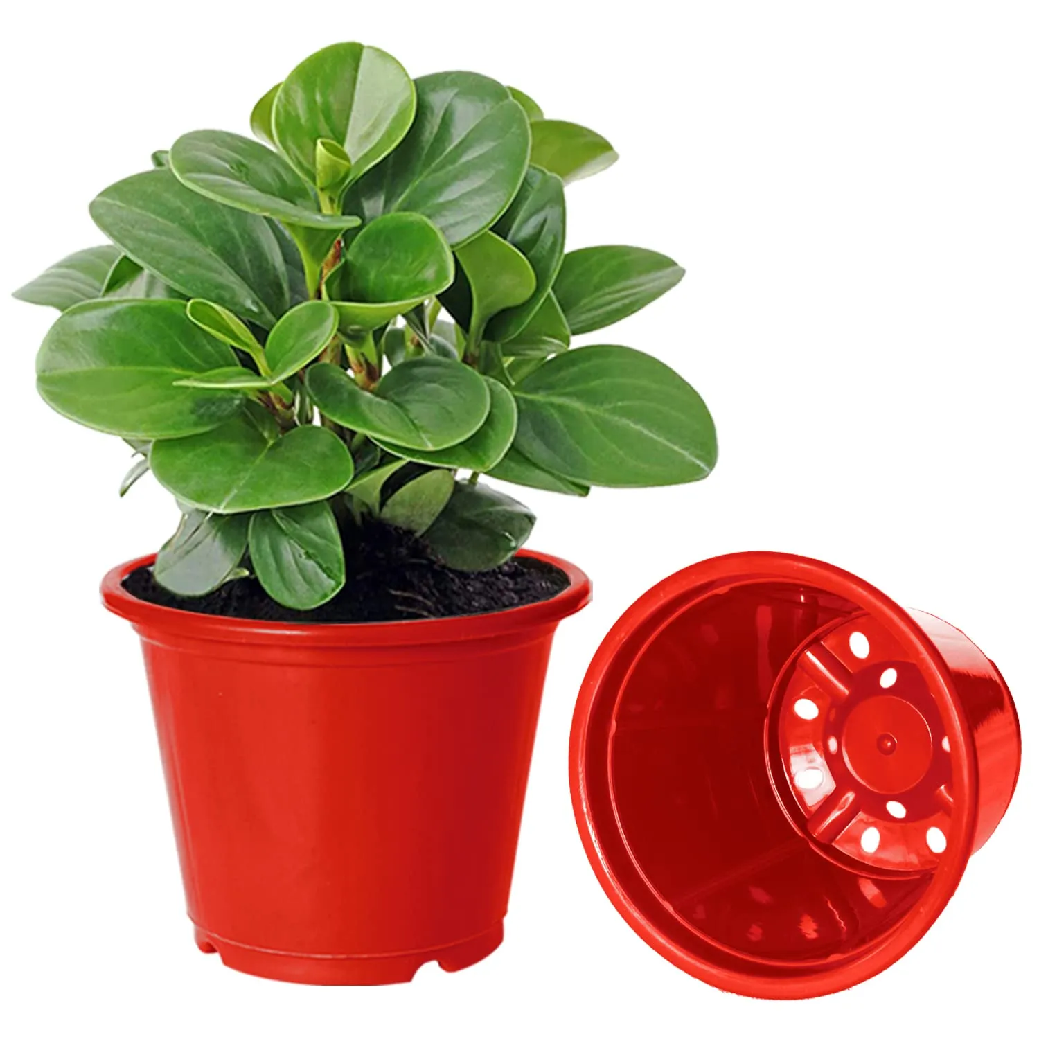 Kuber Industries Durable Plastic Flower Pot|Gamla with Drain Holes for Indoor Home Decor & Outdoor Balcony,Garden,6"x5",Pack of 5 (Red)