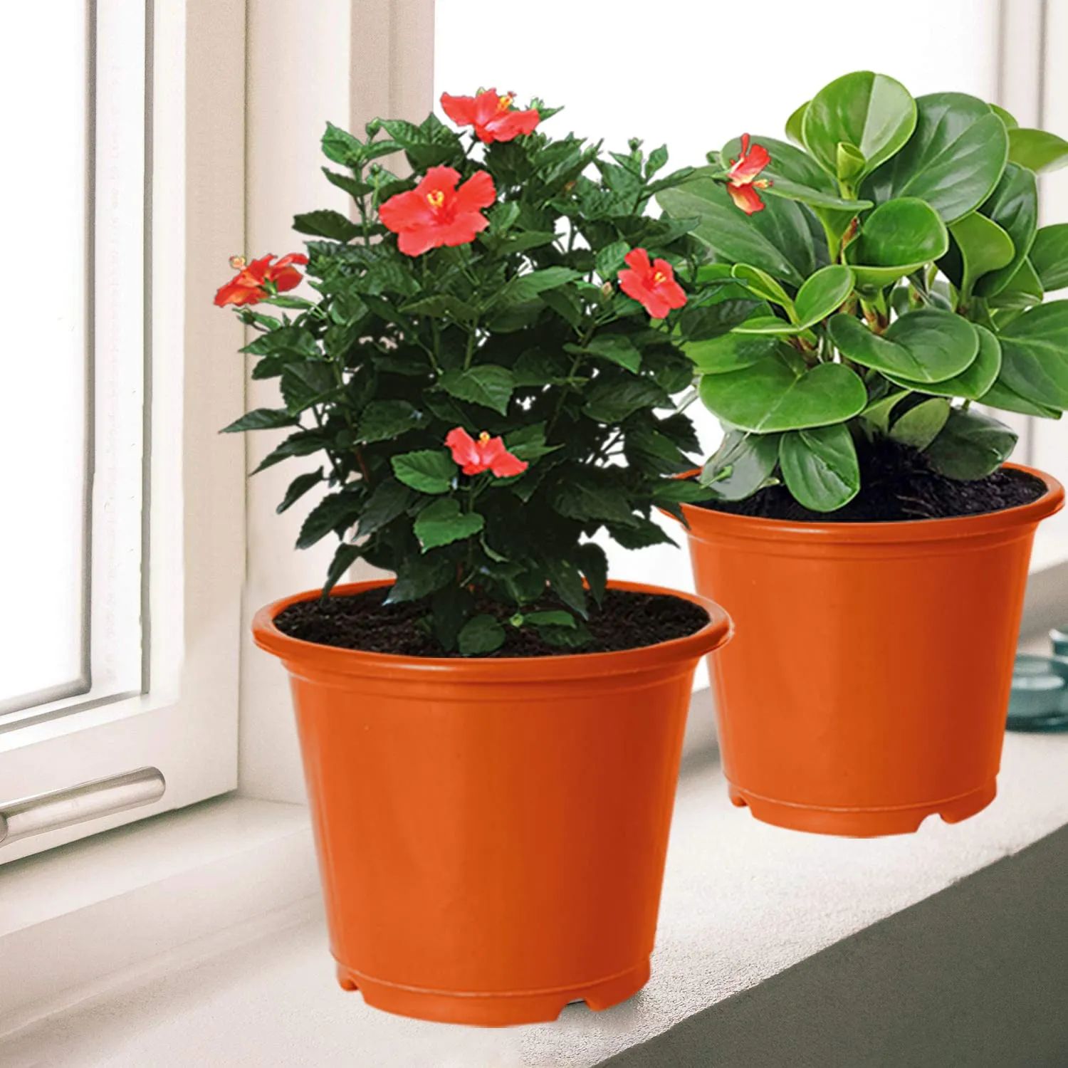 Kuber Industries Plastic Planters|Gamla|Flower Pots for Garden Nursery Home Décor,8"x6",Pack of 5 (Orange)