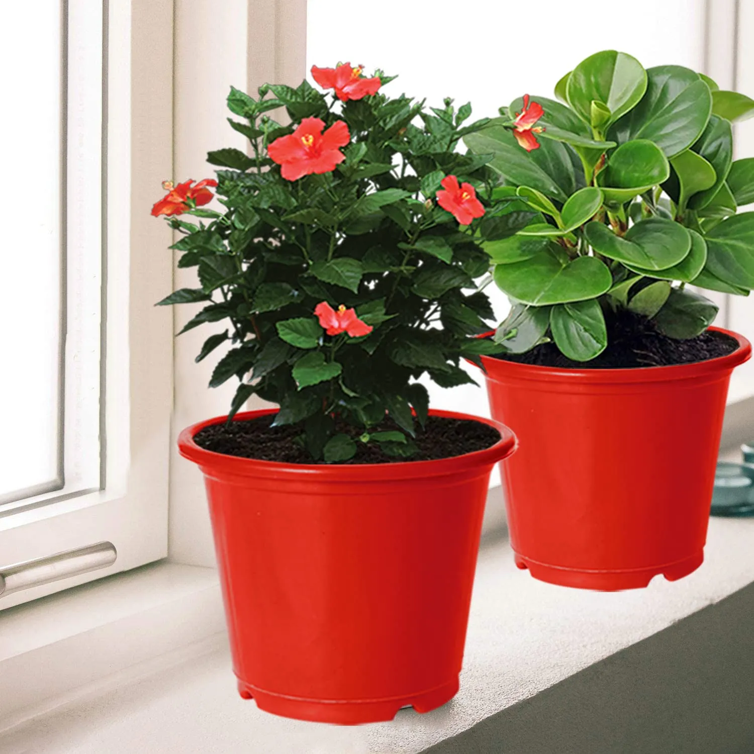 Kuber Industries Plastic Planters|Gamla|Flower Pots for Garden Nursery Home Décor,8"x6",Pack of 5 (Red)