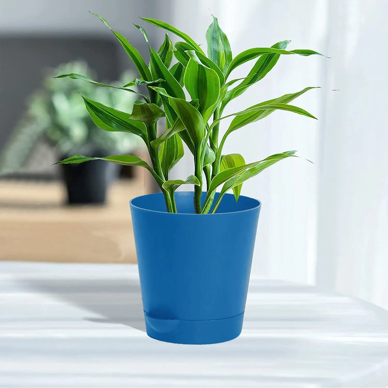 Kuber Industries Plastic Titan Pot|Garden Container for Plants & Flowers|Self-Watering Pot with Drainage Holes,6 Inch,Pack of 2 (Blue)