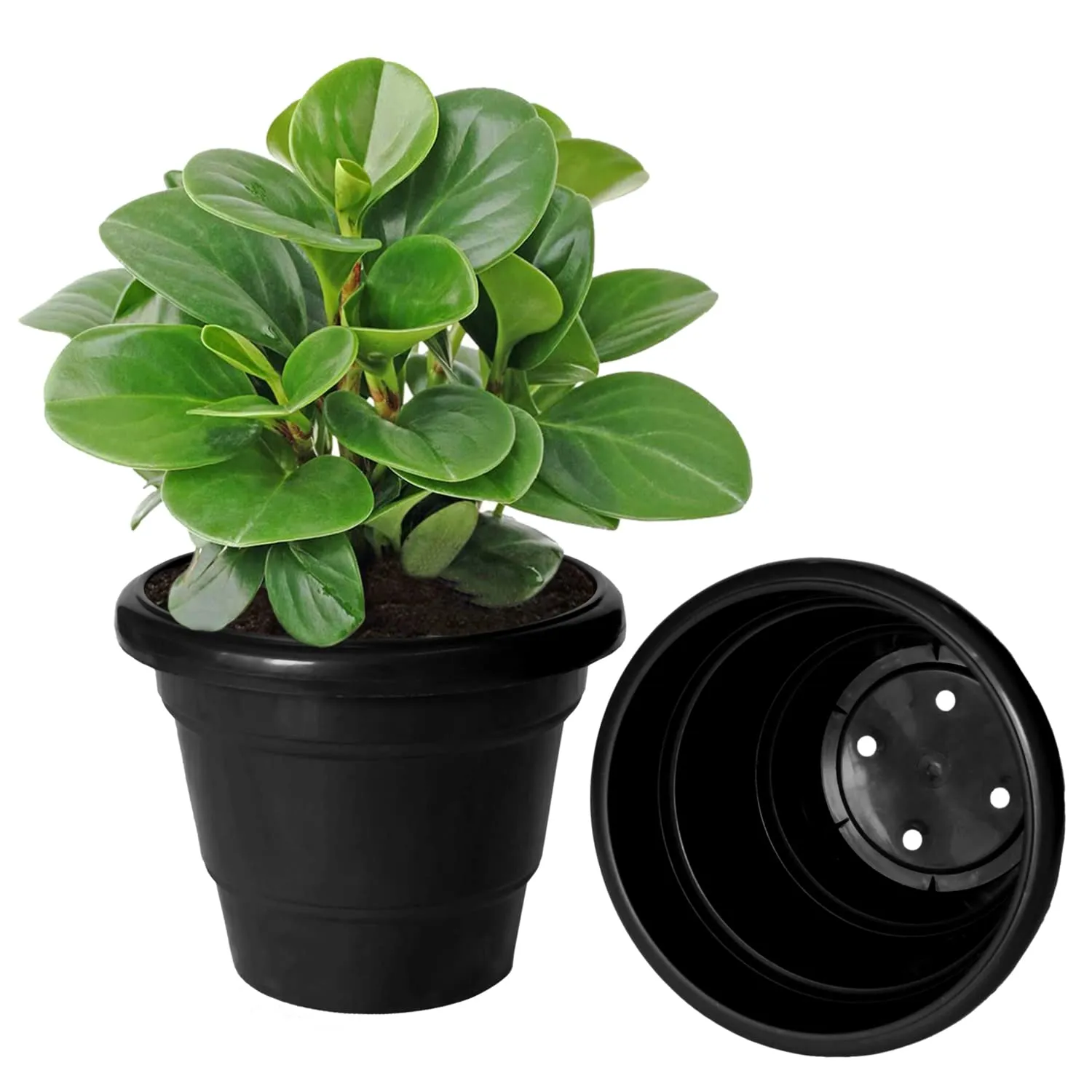 Kuber Industries Solid 2 Layered Plastic Flower Pot|Gamla for Home Decor,Nursery,Balcony,Garden,6"x5",Pack of 5 (Black)