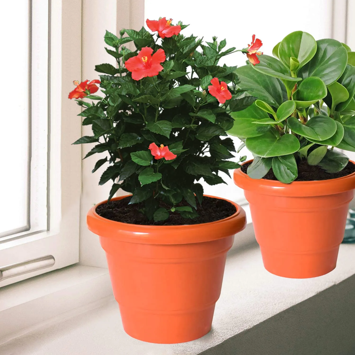 Kuber Industries Solid 2 Layered Plastic Flower Pot|Gamla for Home Decor,Nursery,Balcony,Garden,8"x 6",Pack of 10 (Orange)
