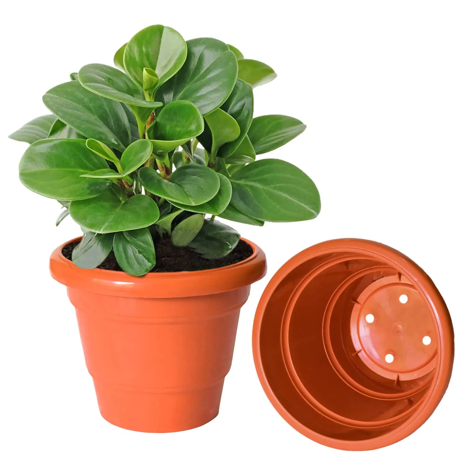 Kuber Industries Solid 2 Layered Plastic Flower Pot|Gamla for Home Decor,Nursery,Balcony,Garden,8"x 6",Pack of 10 (Orange)