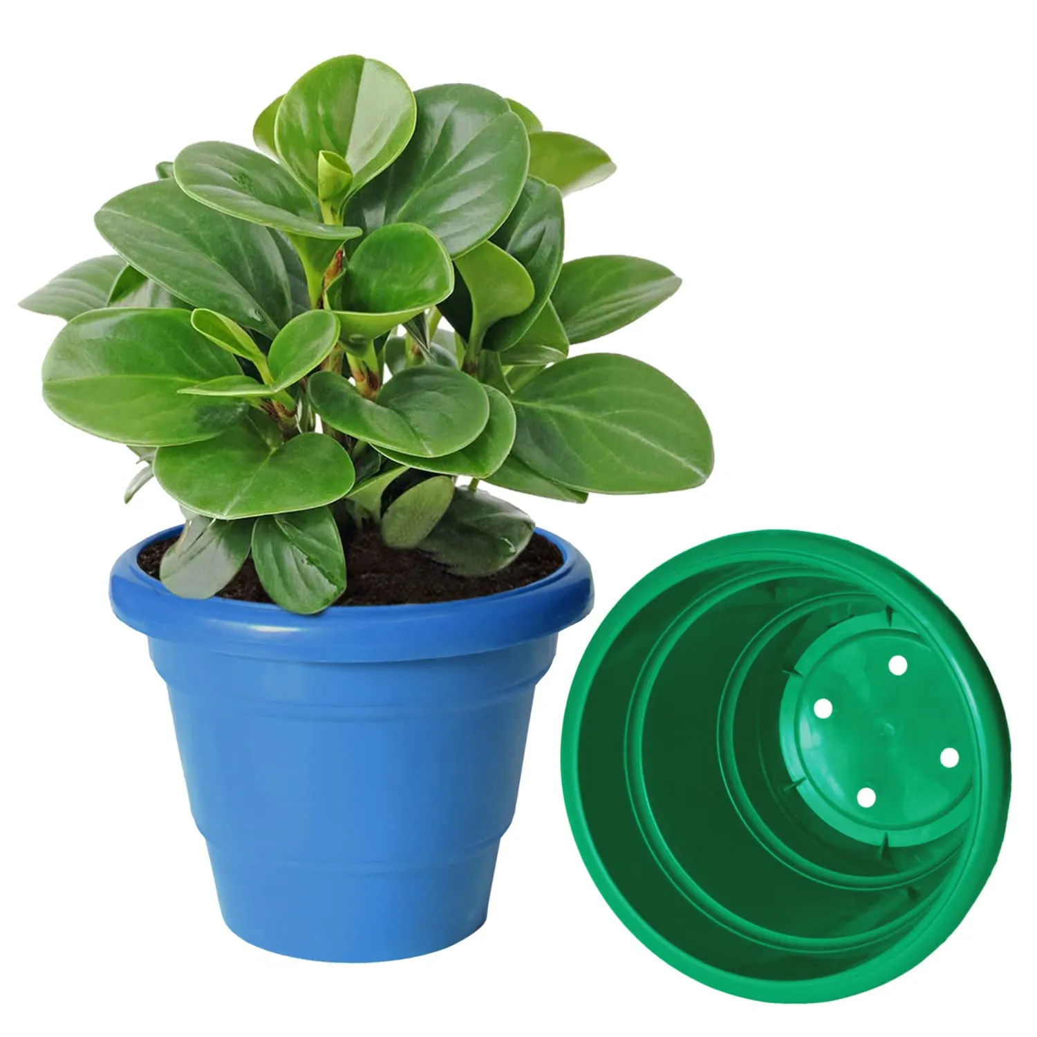 Kuber Industries Solid 2 Layered Plastic Flower Pot|Gamla for Home Decor,Nursery,Balcony,Garden,8"x 6",Pack of 3 (Blue & Orange & Green)