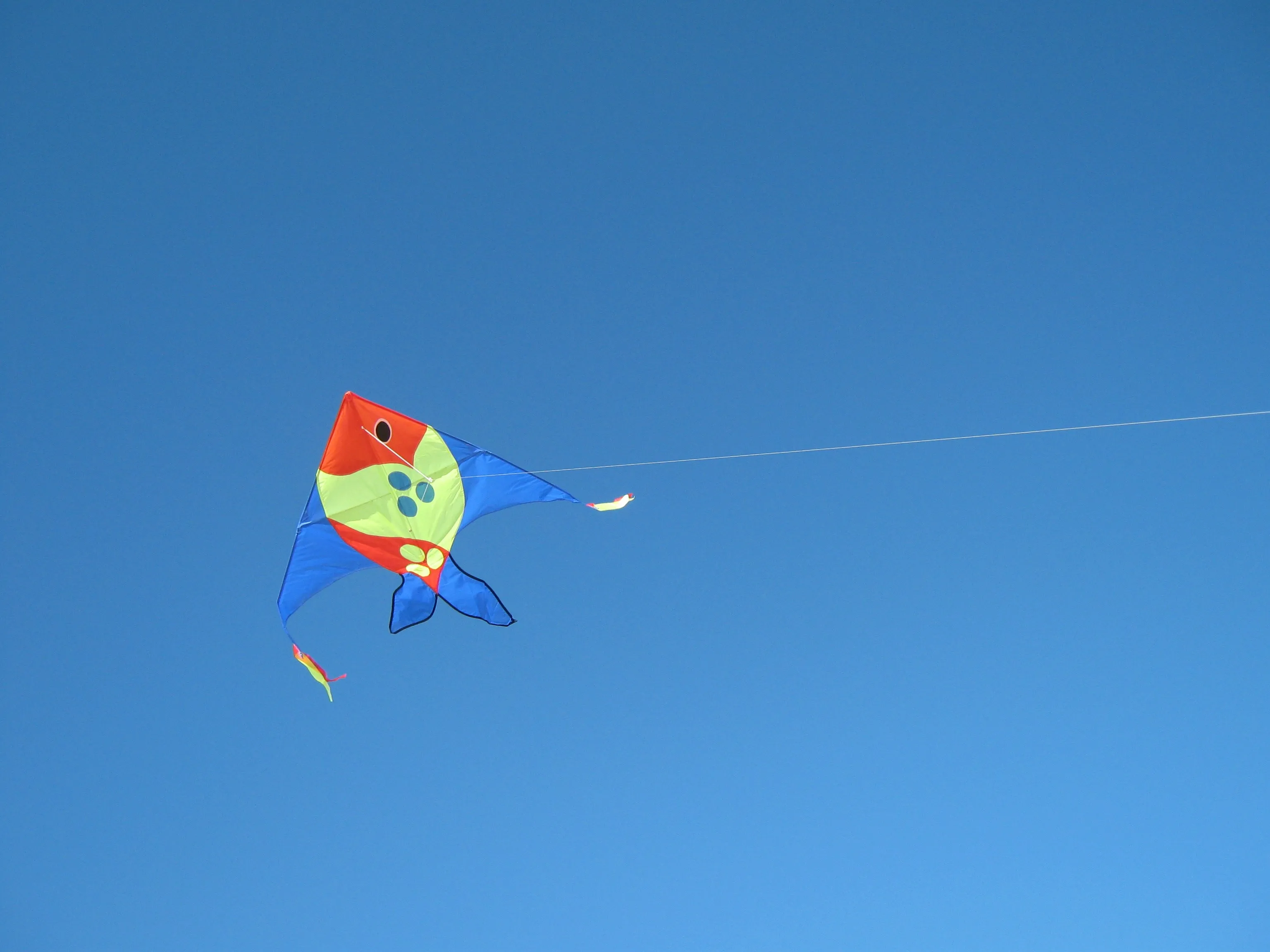 Large Fish Kite