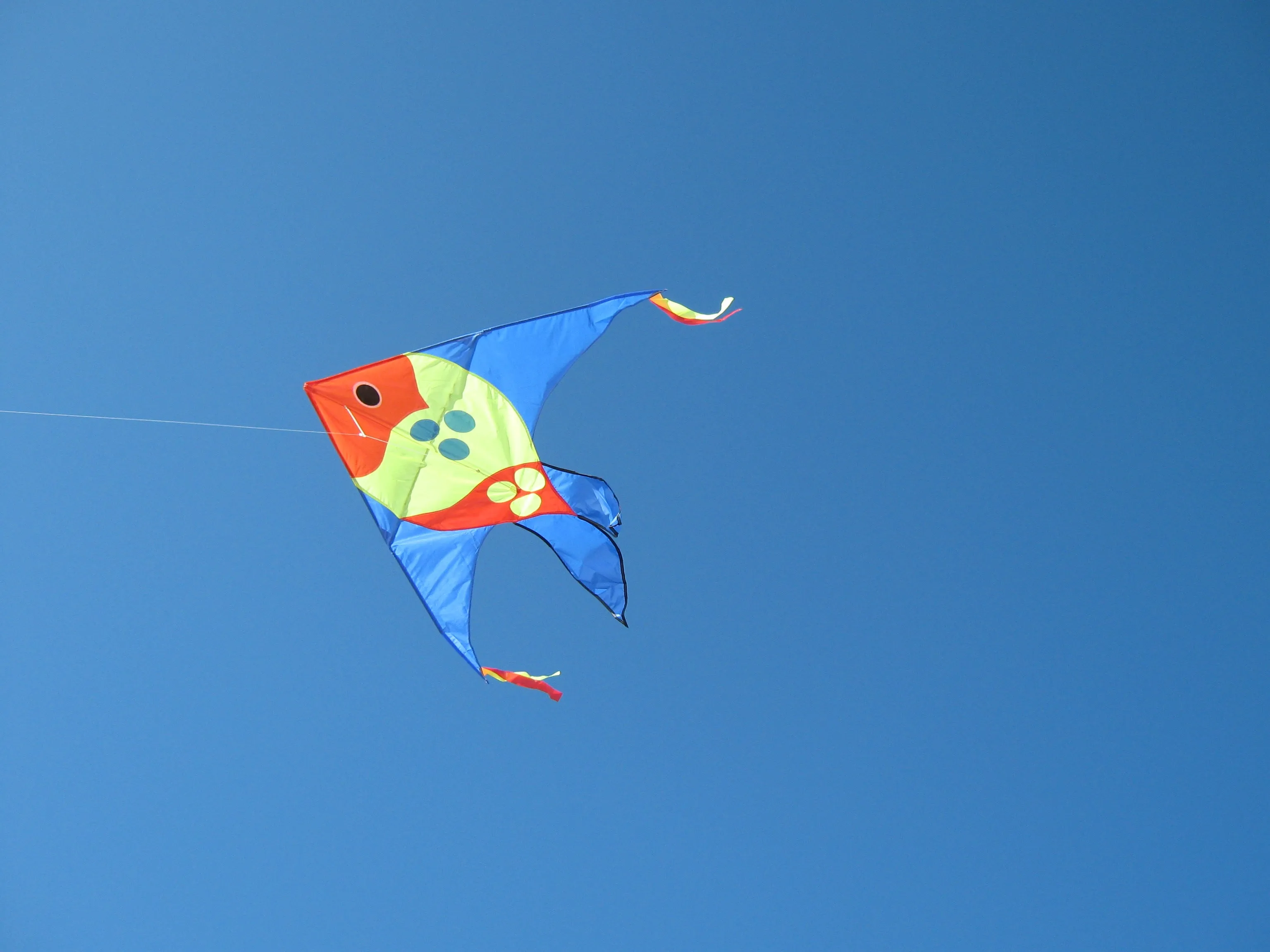 Large Fish Kite