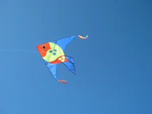 Large Fish Kite