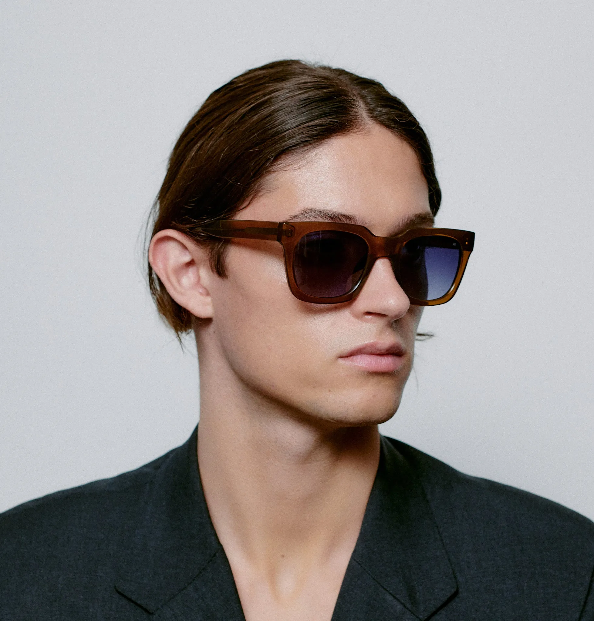 Nancy Sunglasses - Smoke Transparent
