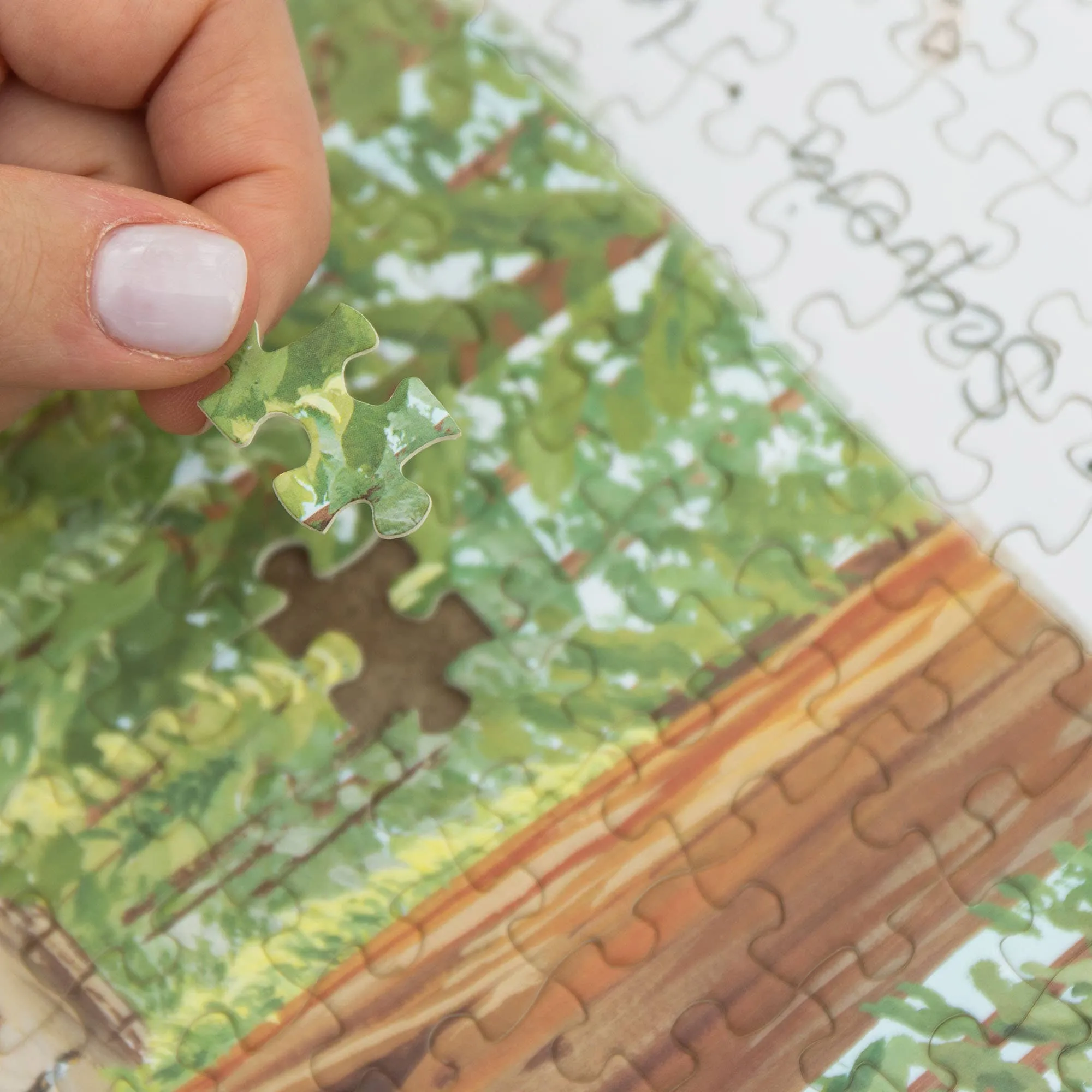 National Parks Puzzle by 1Canoe2  - 1,000 Piece