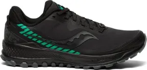 Peregrine Ice  2 - Black/Teal (W)