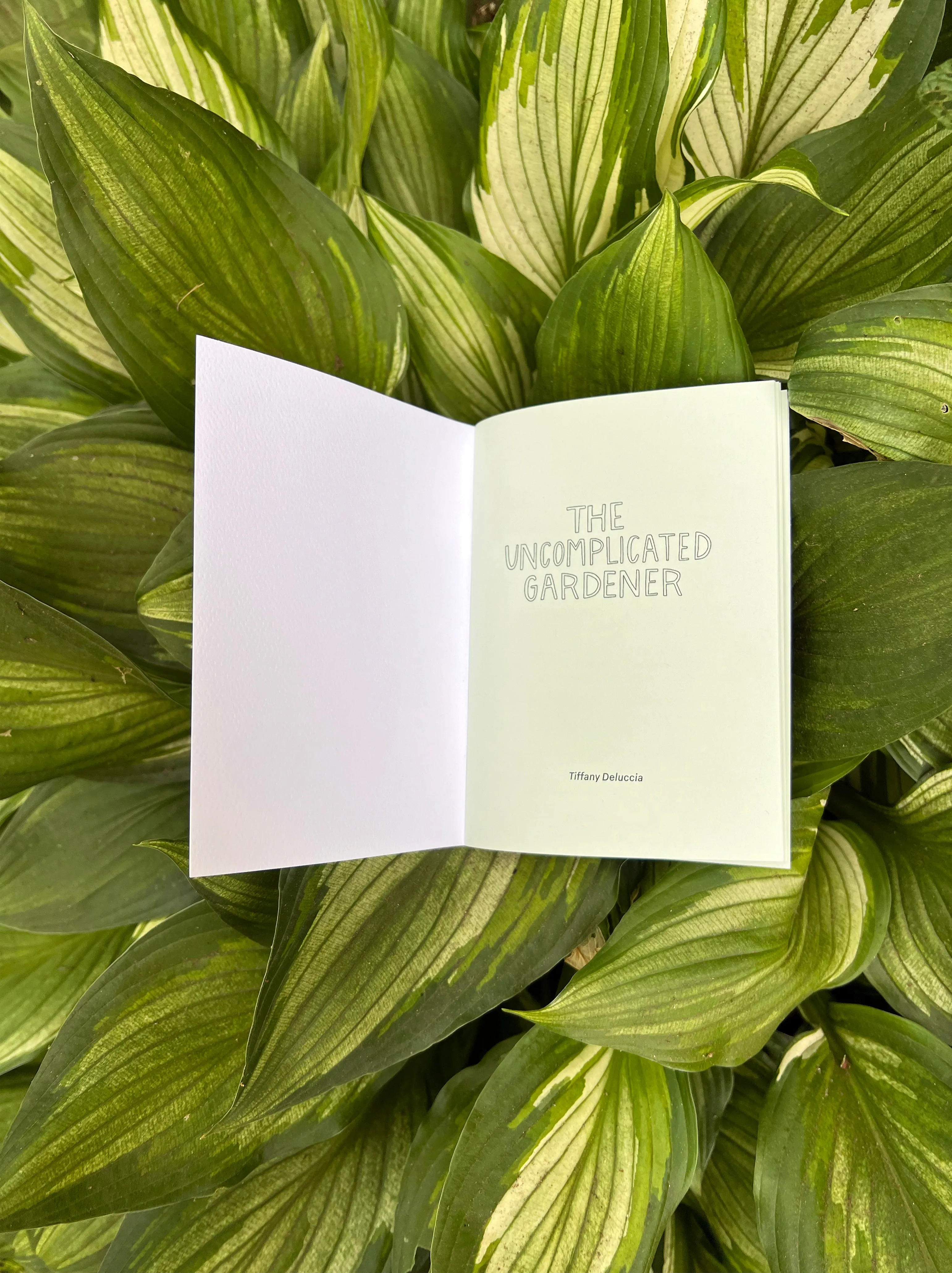 The Uncomplicated Gardener Zine