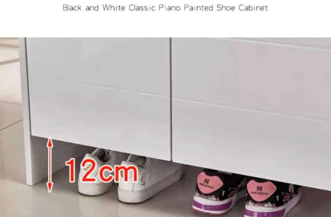 VERON Shoe Cabinet Rack Modern